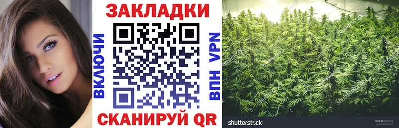 Продажа наркотиков Ряжск Конопля  Alpha PVP  ГАШ  Мефедрон 