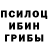 Псилоцибиновые грибы MAGIC MUSHROOMS Volodymyr Kazakevych