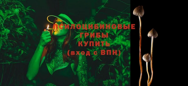 Альфа ПВП Няндома