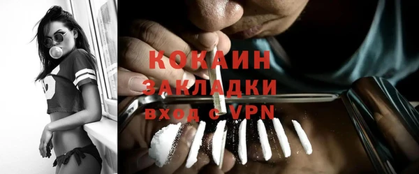 Альфа ПВП Няндома