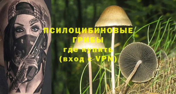Альфа ПВП Няндома