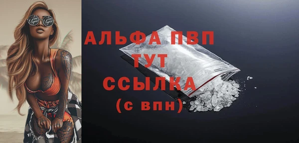 Альфа ПВП Няндома