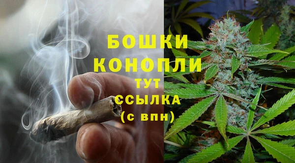 Альфа ПВП Няндома