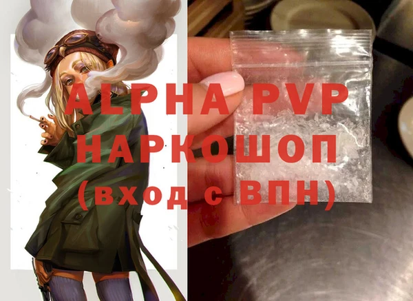 Альфа ПВП Няндома