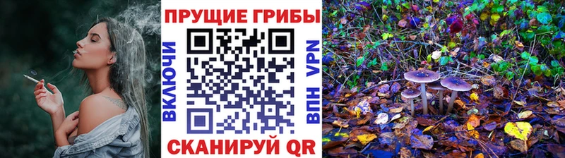 Псилоцибиновые грибы Cubensis  купить закладку  Ряжск 